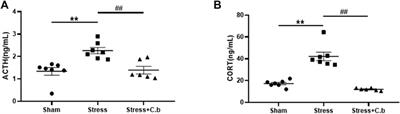 Clostridium butyricum RH2 Alleviates Chronic Foot Shock Stress-Induced Behavioral Deficits in Rats via PAI-1